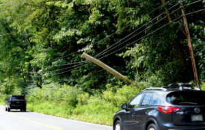 Strained lines holding several downed trees off Canyon Road, travelers